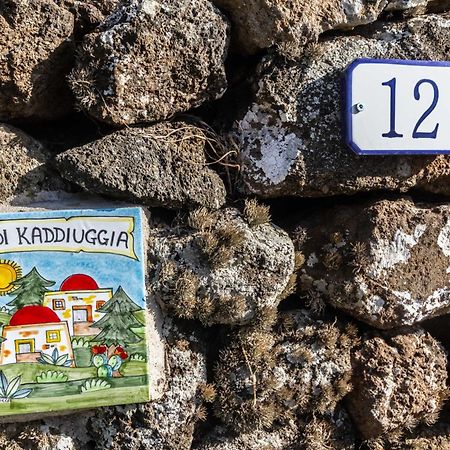 Dammuso I Pini Di Kaddiuggia Villa Campobello Exteriör bild