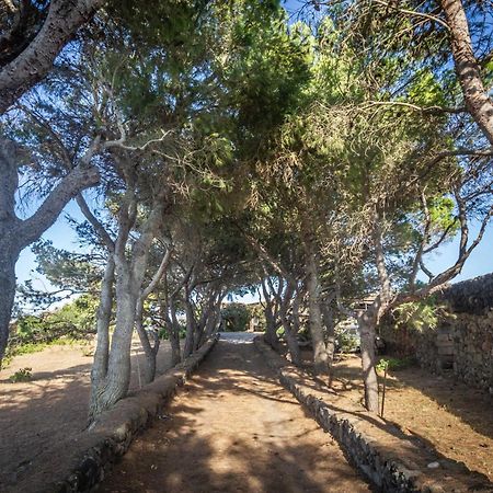 Dammuso I Pini Di Kaddiuggia Villa Campobello Exteriör bild