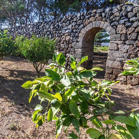 Dammuso I Pini Di Kaddiuggia Villa Campobello Exteriör bild