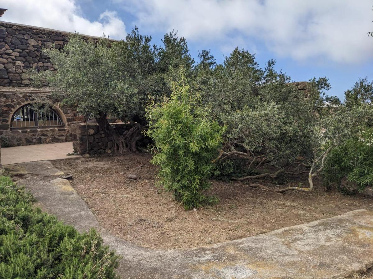 Dammuso I Pini Di Kaddiuggia Villa Campobello Exteriör bild