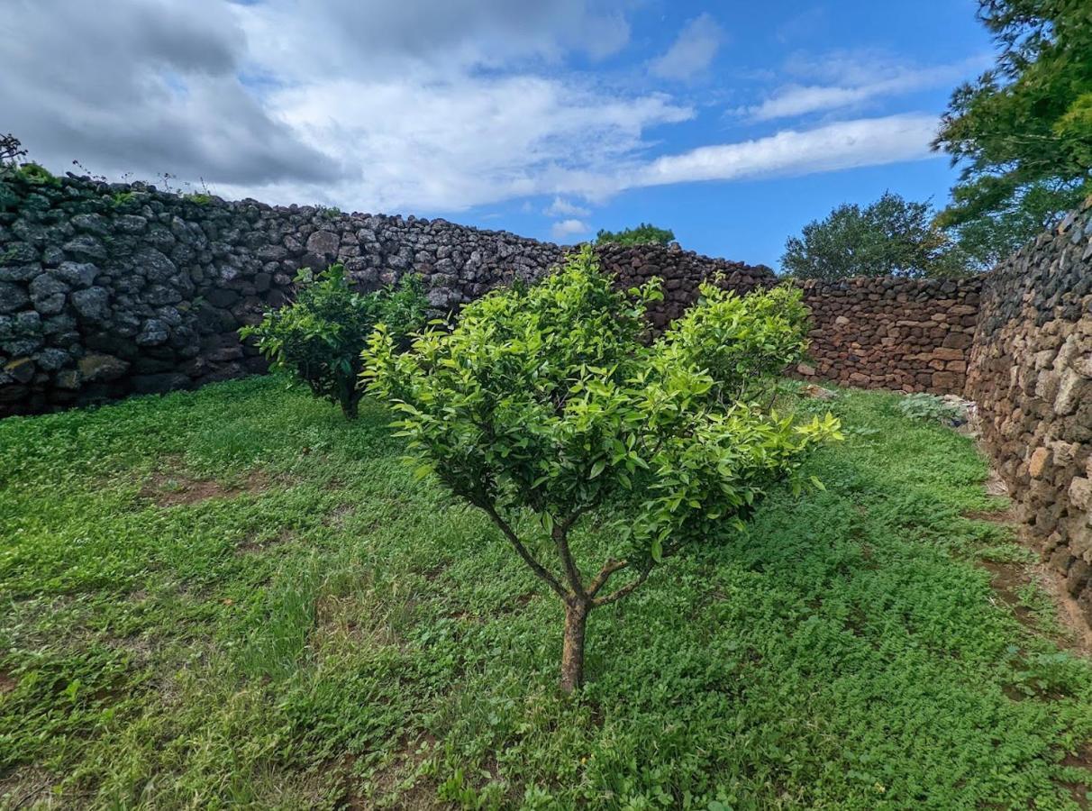 Dammuso I Pini Di Kaddiuggia Villa Campobello Exteriör bild