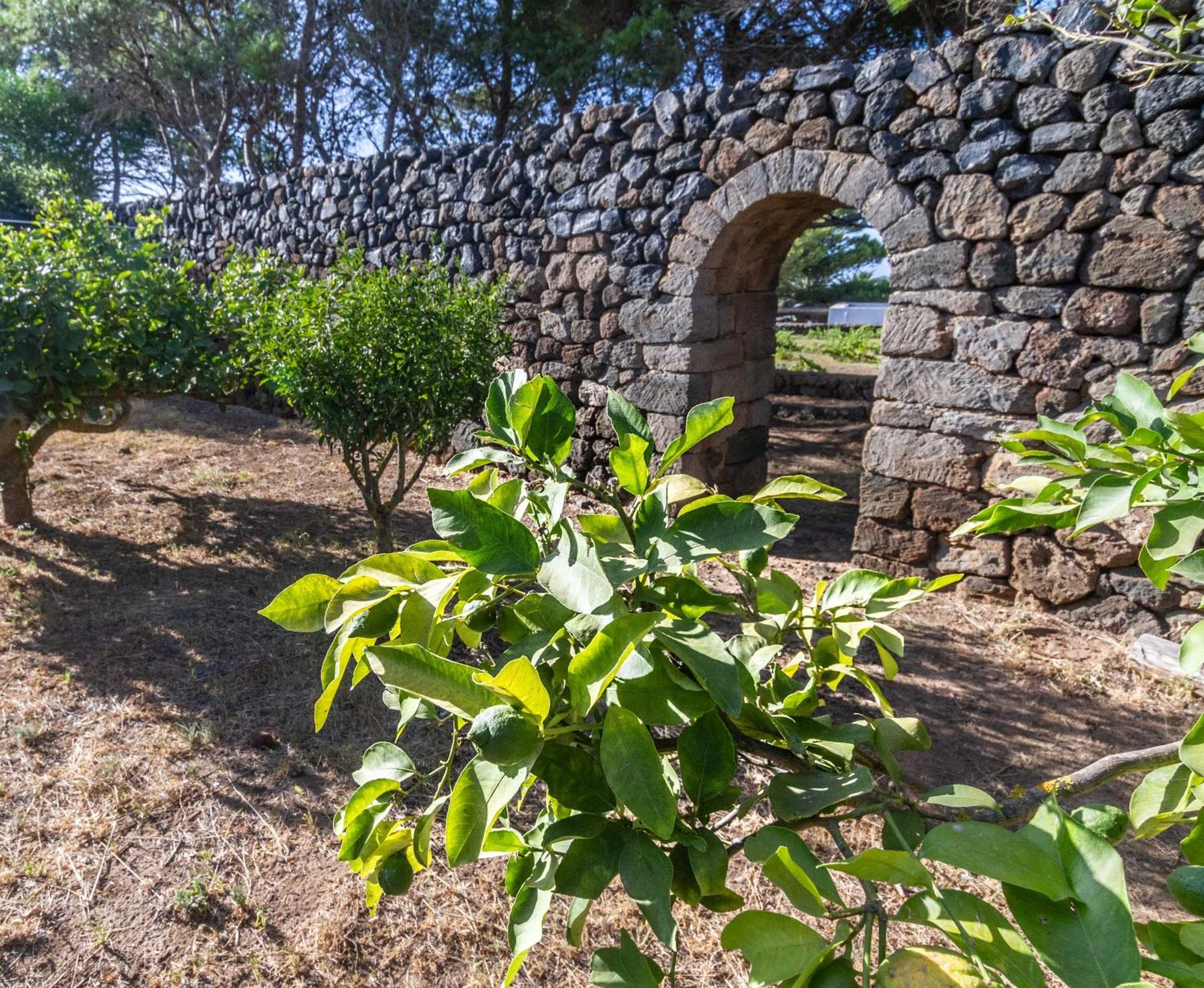 Dammuso I Pini Di Kaddiuggia Villa Campobello Exteriör bild
